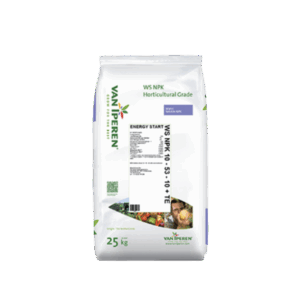 Npk ws willis 25kg dotnuva seeds