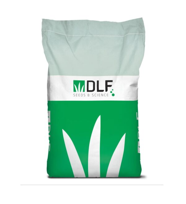 Dlf export bag 49x71,5x13 versija 1