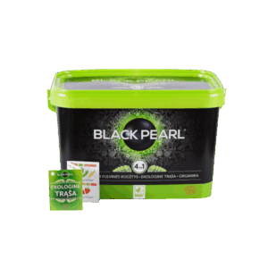 Trasos Black Pearl 4kg dotnuva seeds