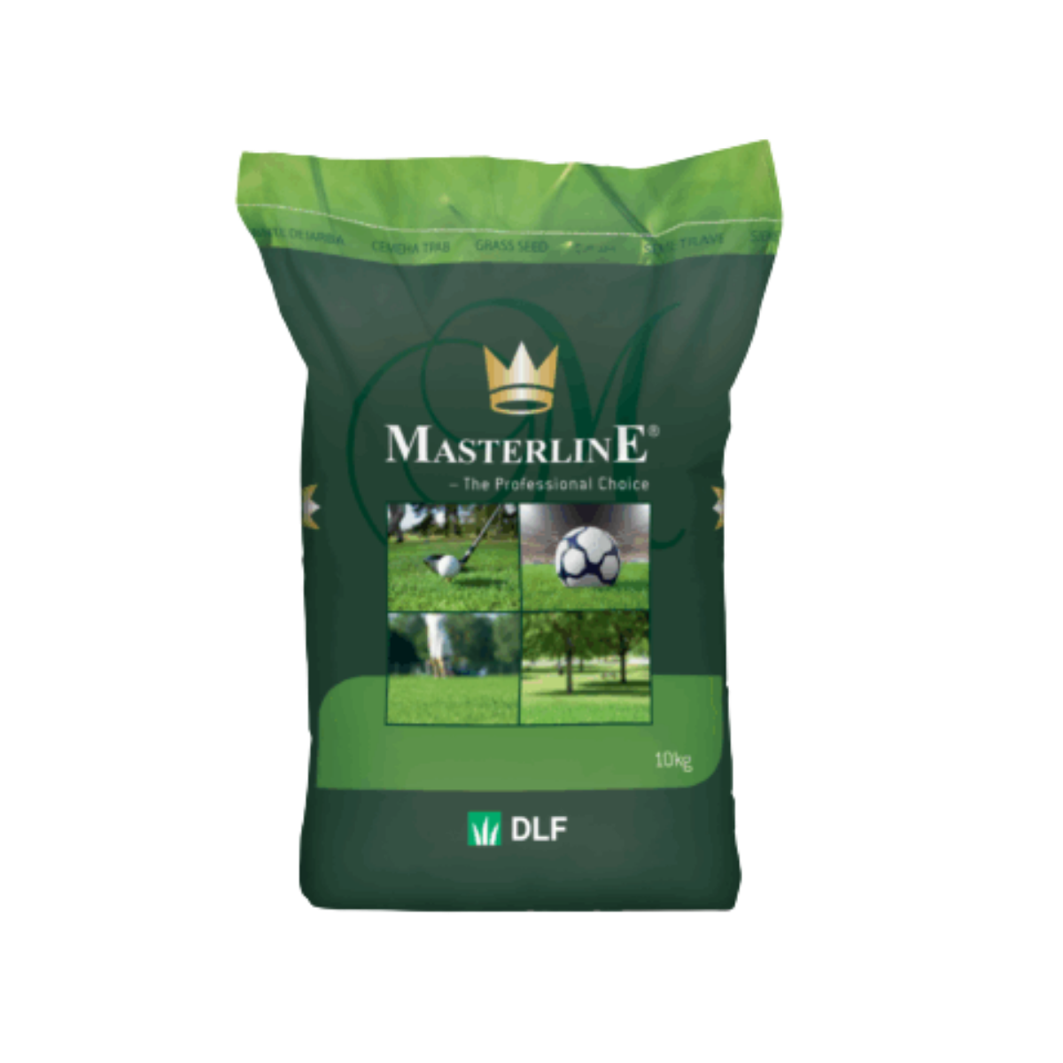 Vejų žolių sėklų mišinys EXPRESSMASTER, 10 kg Veju zoliu seklos misinys EXPRESSMARKET 10kg dotnuva seeds