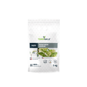 Dekoratyviniams lapuočiams 5kg Dotnuva Seeds